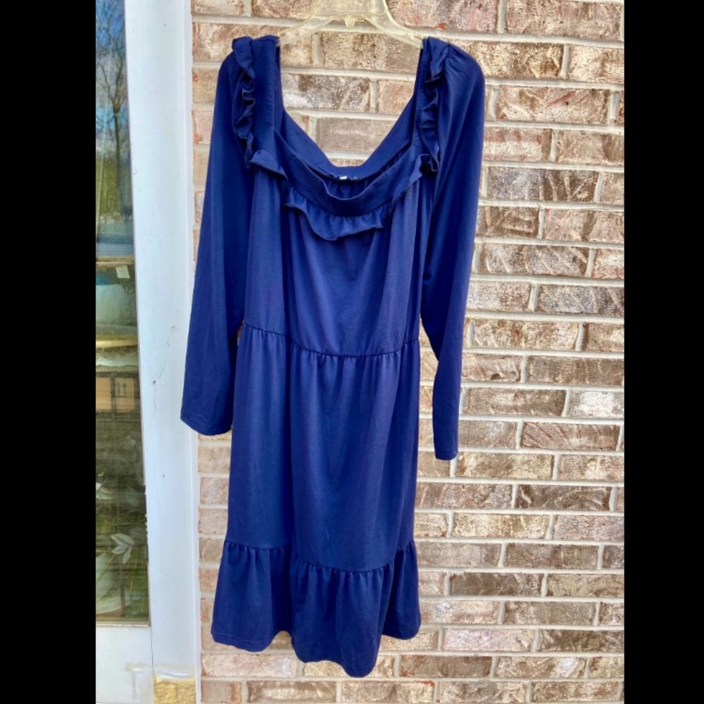 Blue 3X Ruffle Cottagecore Dress - Picture 4 of 6